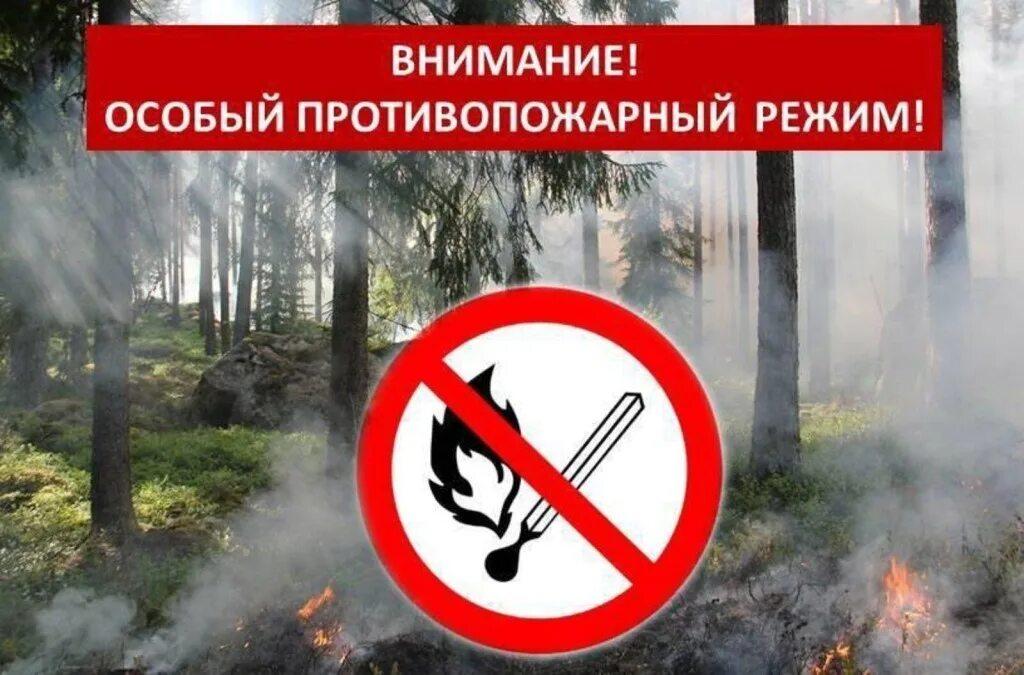 Об установлении особого противопожарного режима с 29 апреля 2024 года..