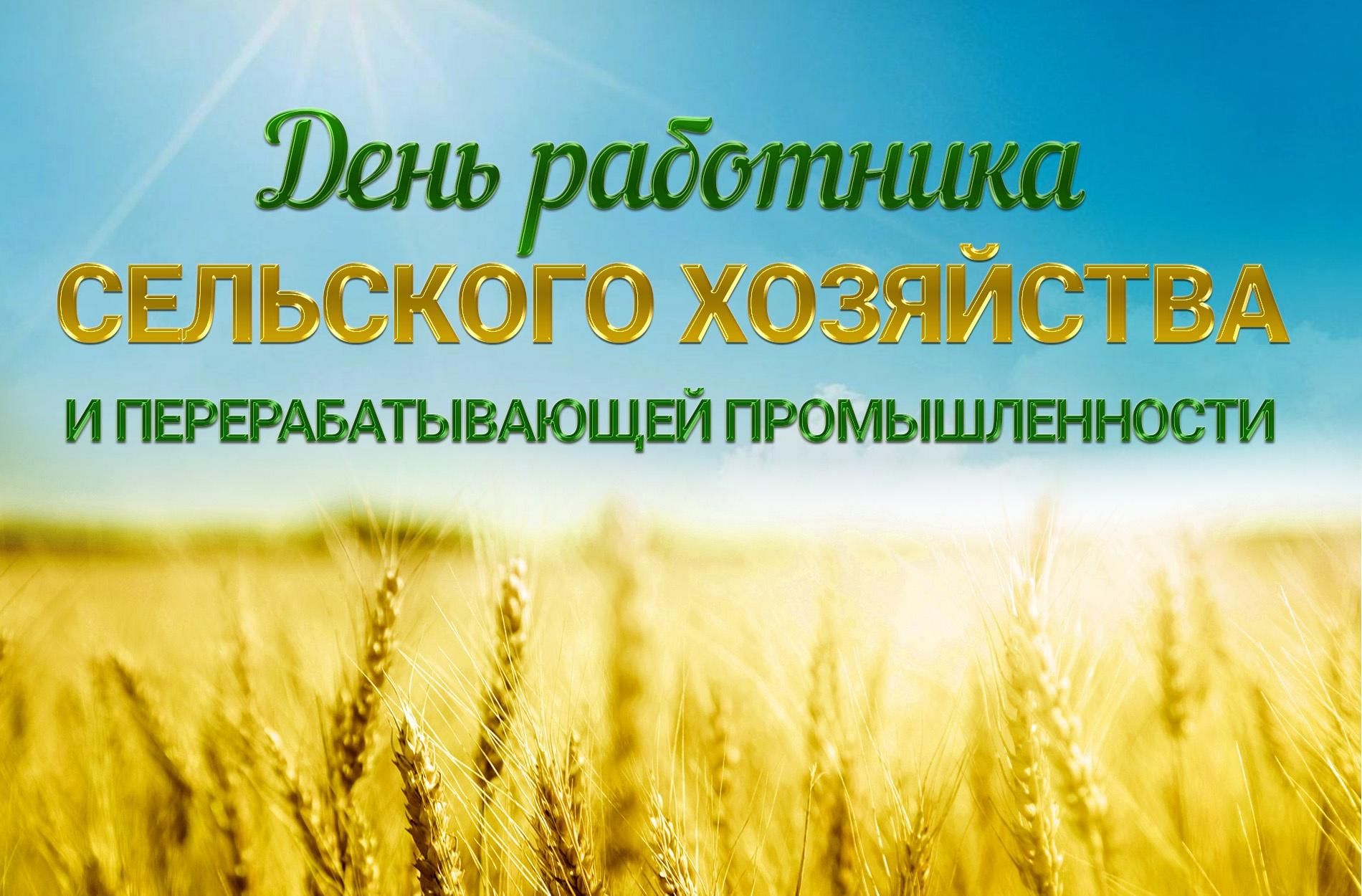Уважаемые труженики села, работники и ветераны агропромышленного комплекса Сенгилеевского района!