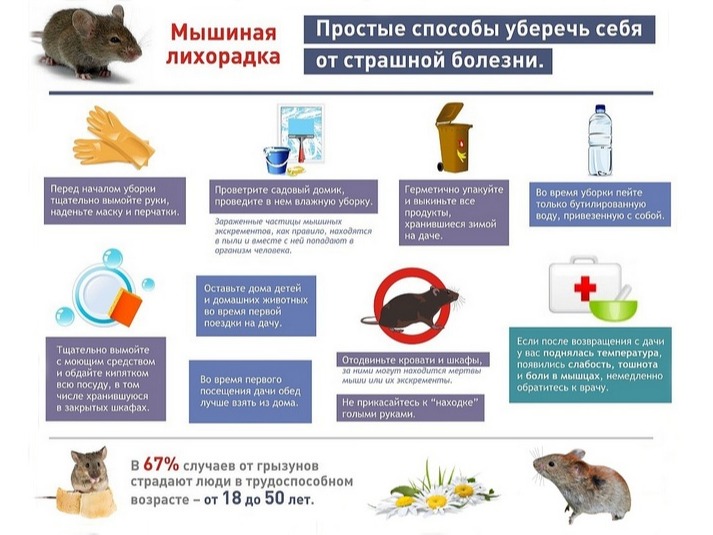 Памятка по профилактике геморрагической лихорадки с почечным синдромом.