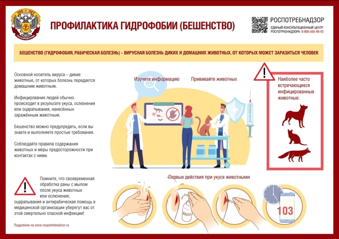 ☝Об эпидемиологической ситуации по бешенству в Ульяновской области и мерах профилактики.