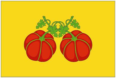 Флаг муниципального образования «Сенгилеевский район» Ульяновской области